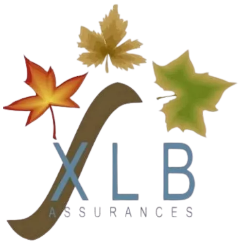 Couverture et assurance de forêt en France