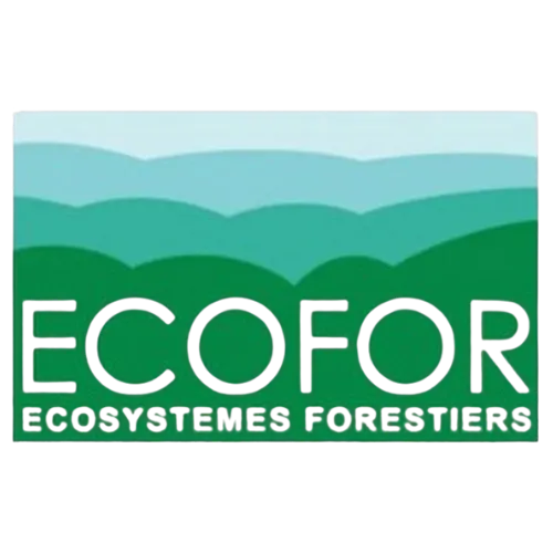 Écosystèmes forestiers