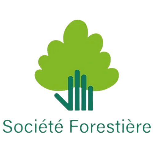 expertise de la forêt et de l’arbre
