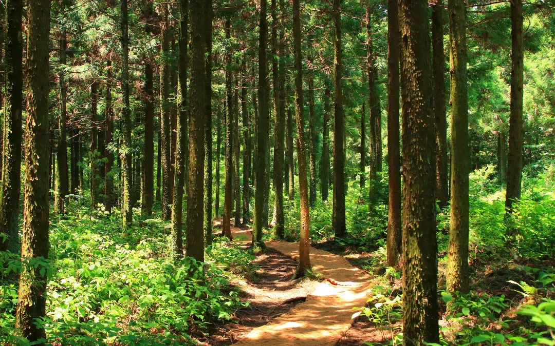Ressources afterwork biodiversité