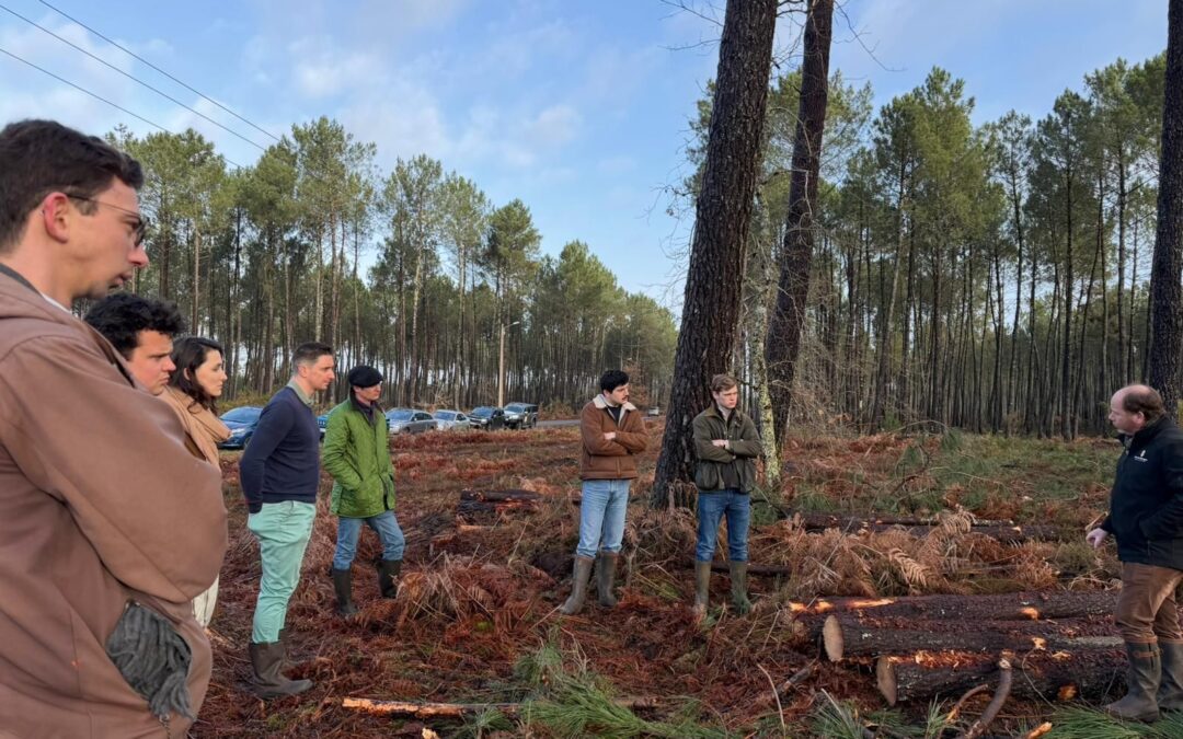 𝐕𝐢𝐬𝐢𝐭𝐞 𝐝𝐞 𝐜𝐡𝐚𝐧𝐭𝐢𝐞𝐫𝐬 𝐚𝐯𝐞𝐜 𝐥’𝐞𝐧𝐭𝐫𝐞𝐩𝐫𝐢𝐬𝐞 Bois de Gascogne SARL