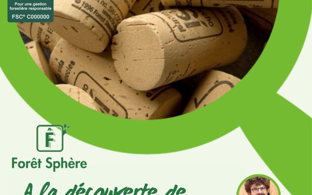 🌲 Forêt Sphère 𝒂̀ 𝒍𝒂 𝒓𝒆𝒏𝒄𝒐𝒏𝒕𝒓𝒆 𝒅𝒆 FSC France !