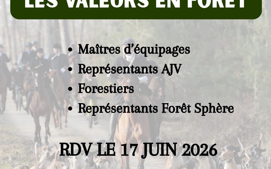 𝐀𝐬𝐬𝐨𝐜𝐢𝐚𝐭𝐢𝐨𝐧 𝐝𝐞𝐬 𝐉𝐞𝐮𝐧𝐞𝐬 𝐕𝐞𝐧𝐞𝐮𝐫𝐬 𝐱 Forêt Sphère : 𝐓𝐫𝐚𝐧𝐬𝐦𝐢𝐬𝐬𝐢𝐨𝐧 𝐝𝐞𝐬 𝐯𝐚𝐥𝐞𝐮𝐫𝐬